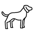Logo chien acceptés Aurilandes